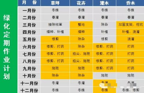 物业环境外包管控要点 纯干货，助力服务评估与优化